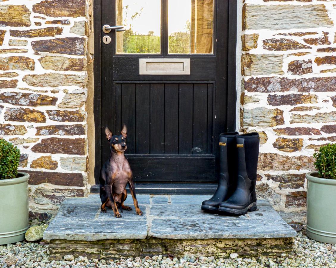 Gwel An Heyl, Padstow Villa Little Petherick Kültér fotó